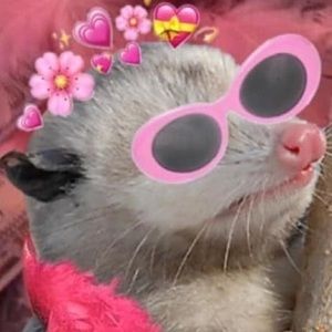 Meet your Posher, Kameron